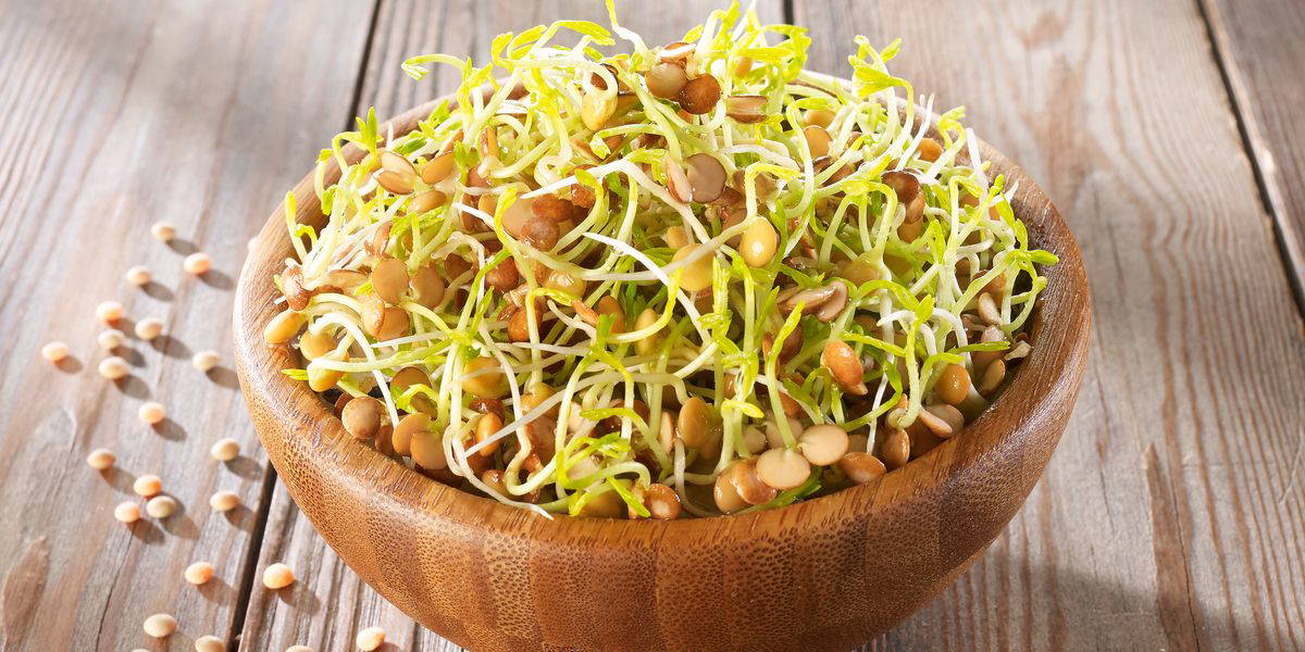 Schüssel mit frischen, geschnittenen Sprossen auf Holztisch, einige Sprossen außen verteilt.