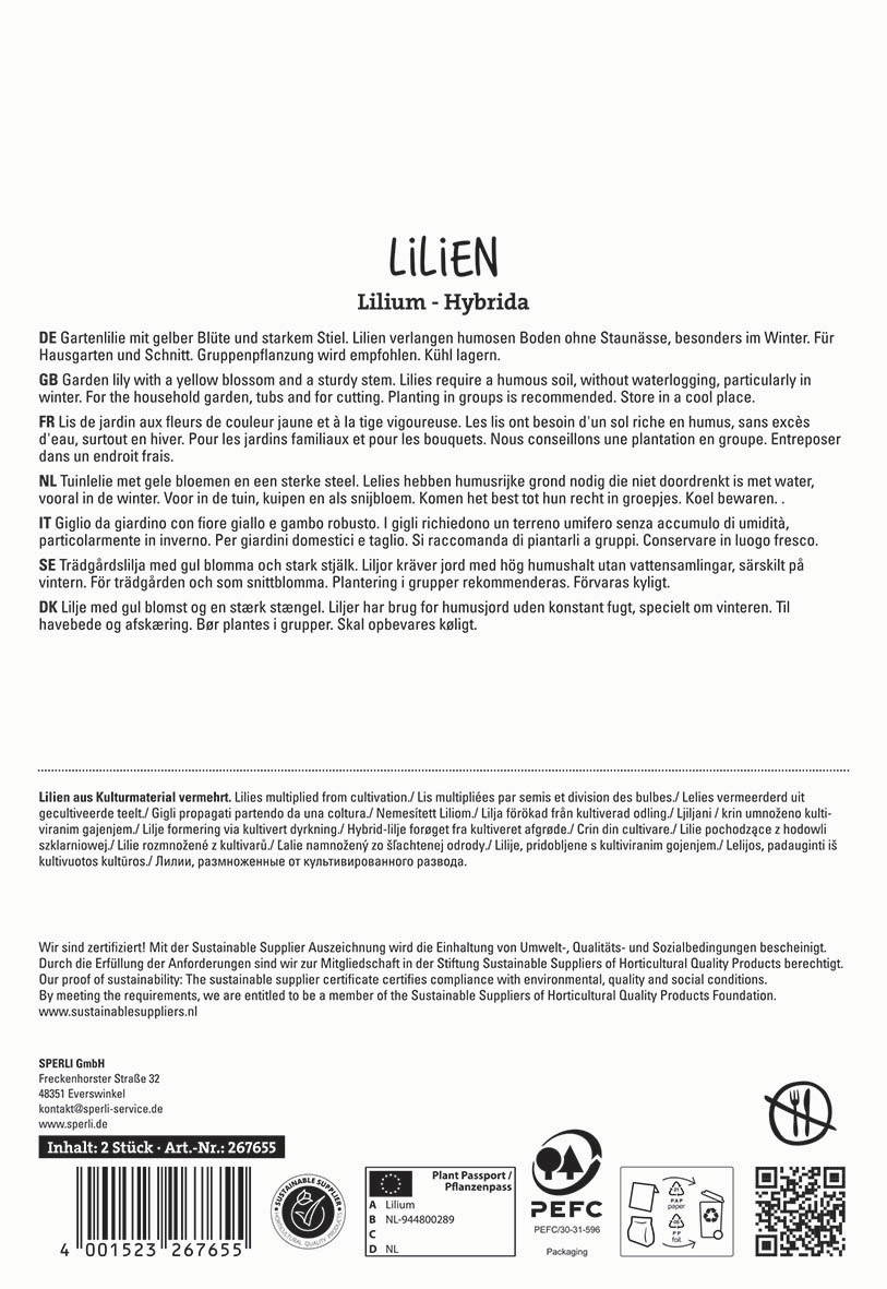 Text auf einem Etikett mit Beschreibungen und Pflegehinweisen für Lilien in mehreren Sprachen.
