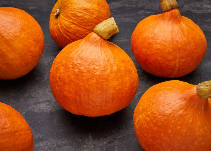 Sechs orange Kürbisse auf dunklem Untergrund, zwei mit runder Form, vier längliche.