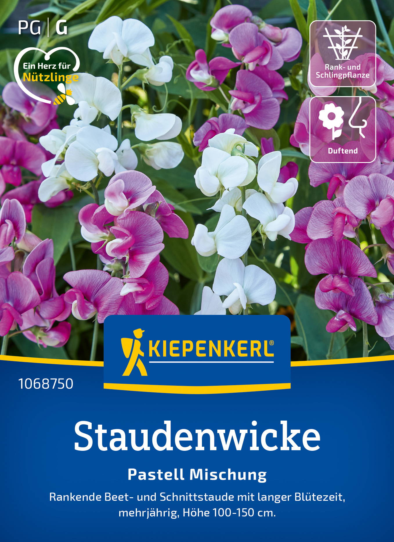 Staudenwickensamen Pastell Mischung