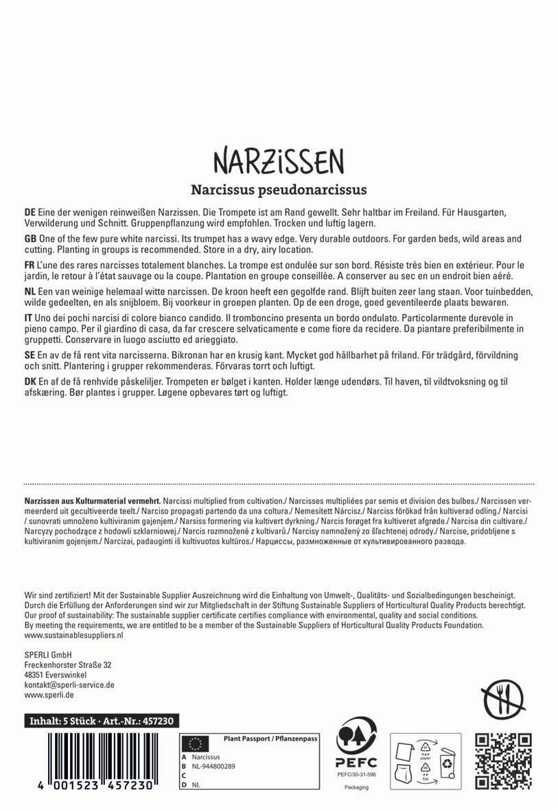 Narzissen, weiße Blüten, in Gruppen gepflanzt, für Garten, mit kurzem, dicken, gezahnten Rand