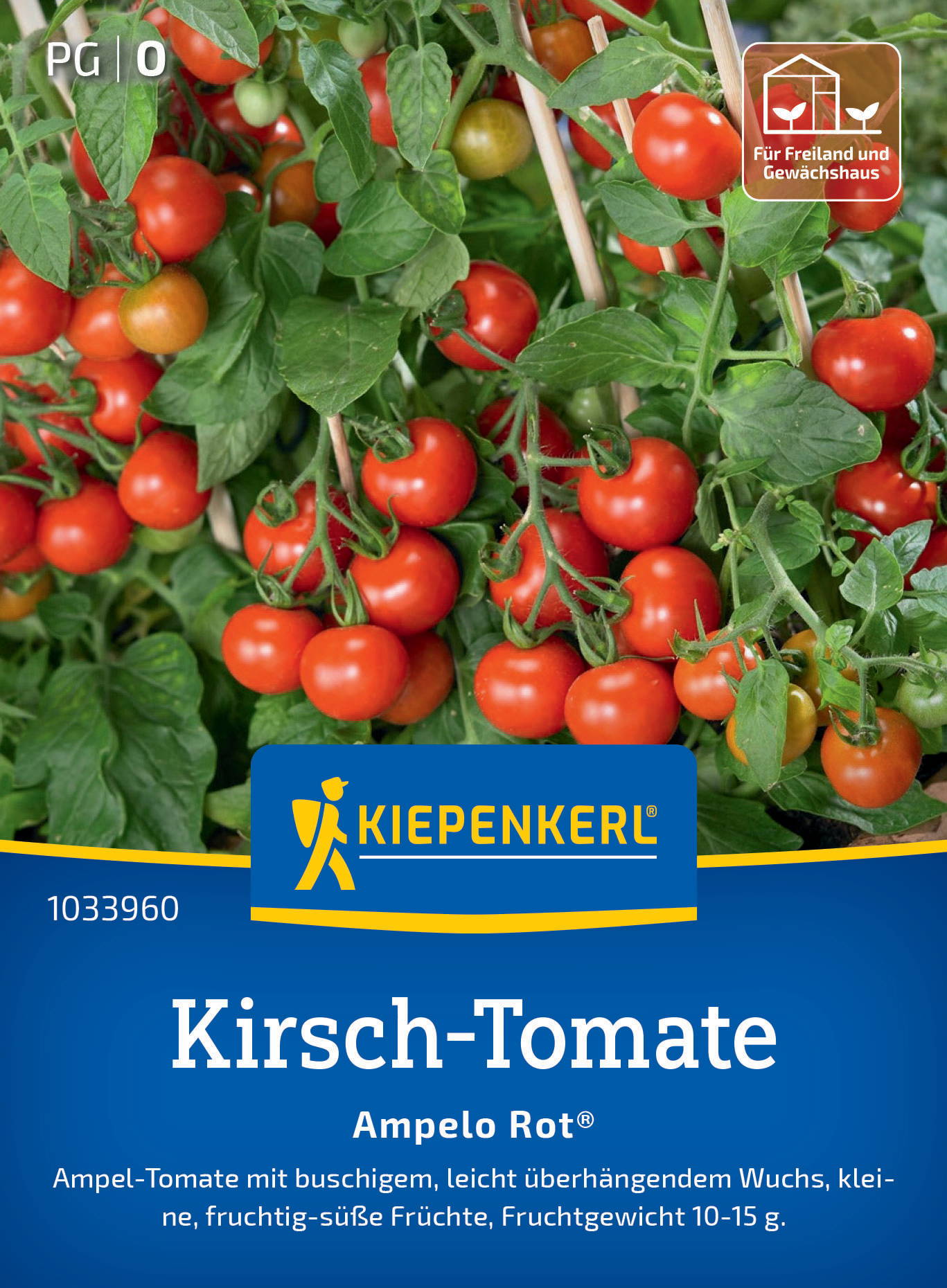 Rote Tomaten an Pflanze mit grünen Blättern und Stäben zum Stützen.