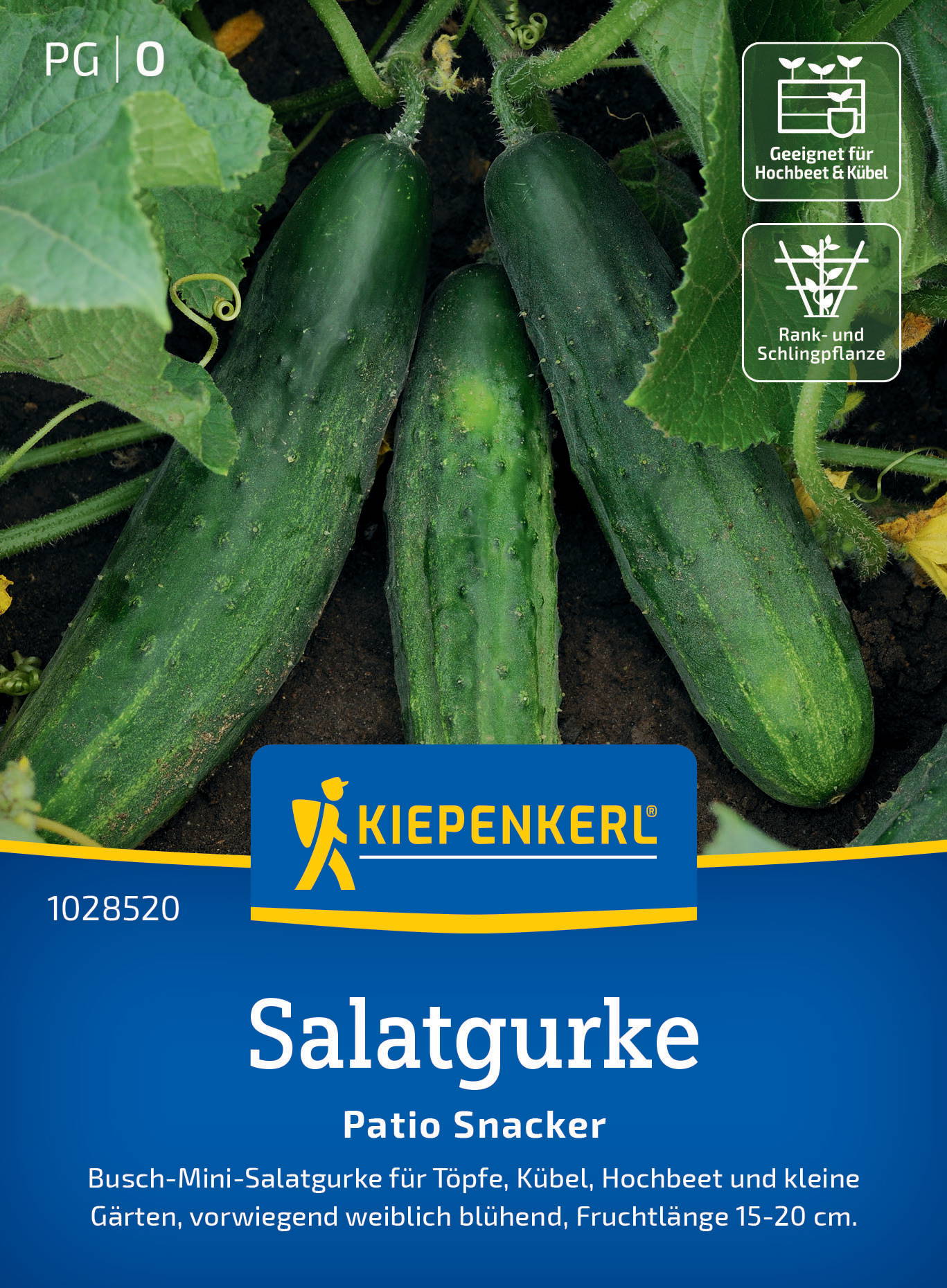 Salatgurkensamen Patio Snacker, F1