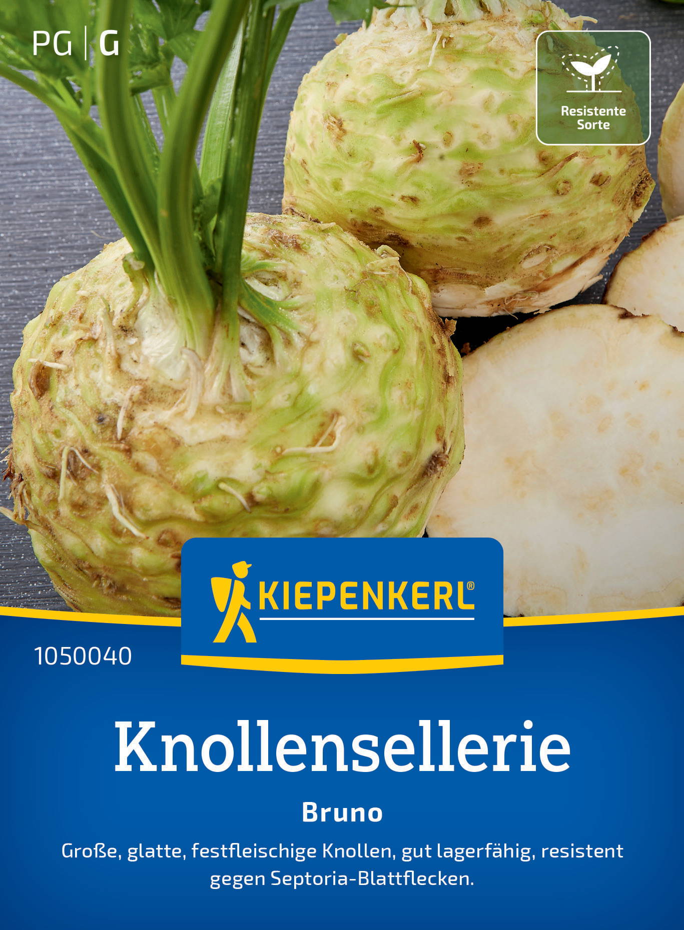 Knollenselleriesamen Bruno