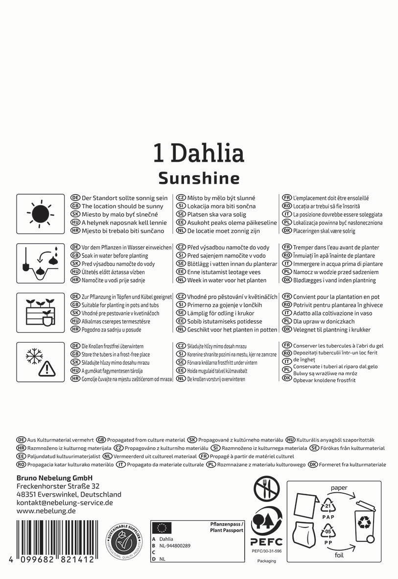 Text mit Pflanzanweisung, Wasservorbereitung, Platzierung, Winterpause und Recyclingsymbole auf der Verpackung.