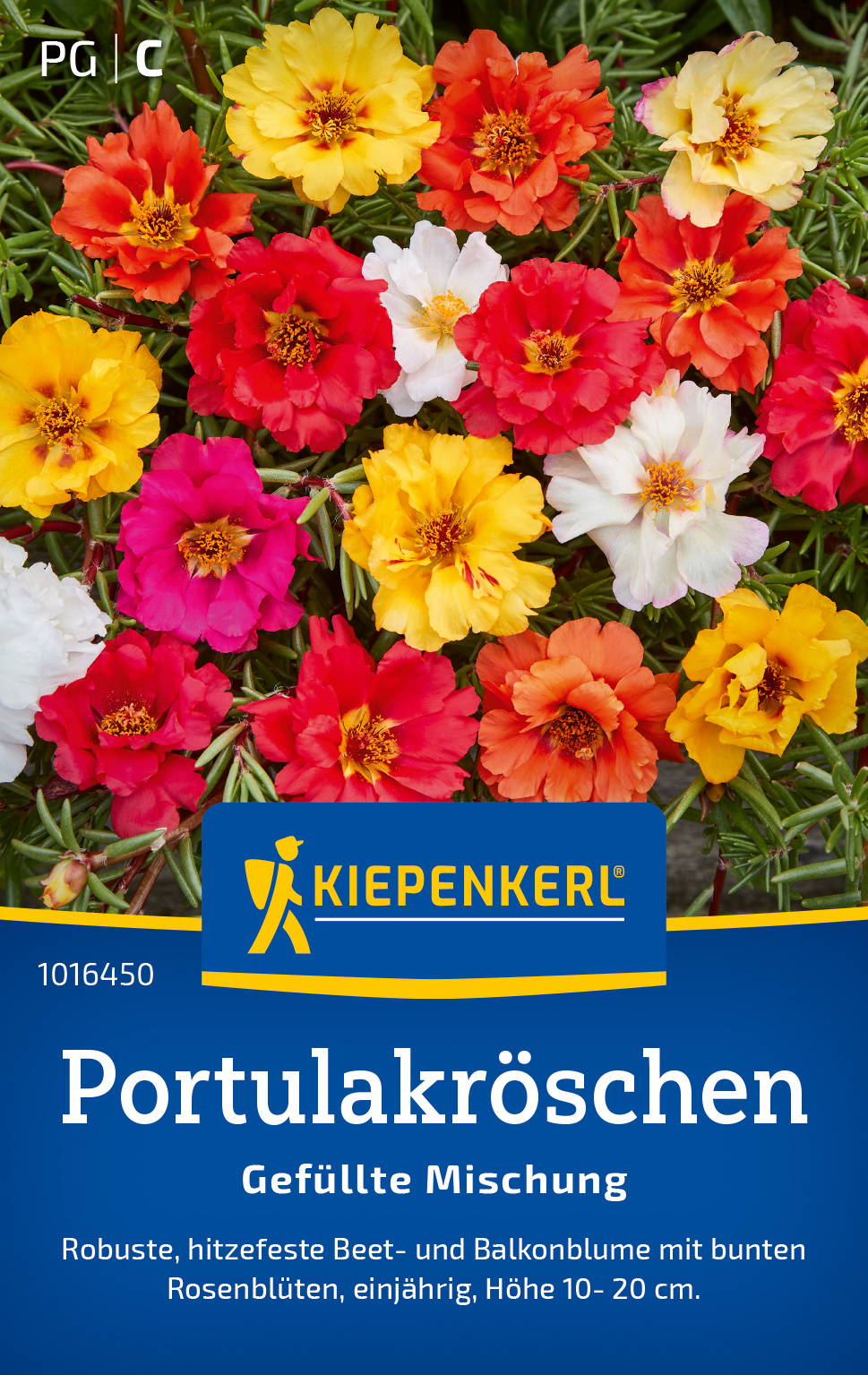 Bunte, gefüllte Portulakröschen mit roten, gelben, weißen Blüten, auf Grünem Hintergrund.