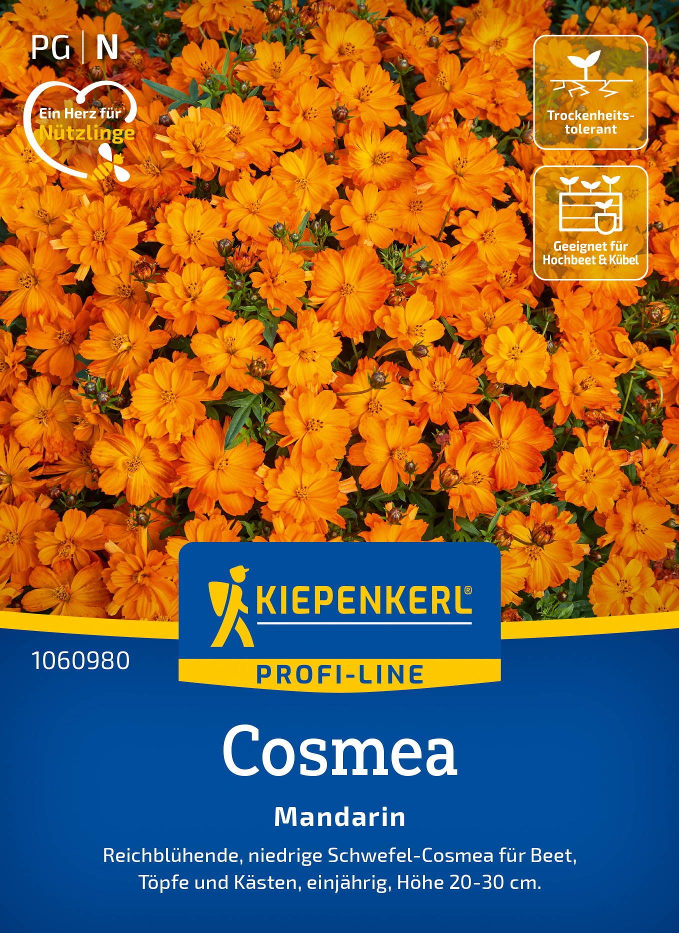 Orange Mandarinenblumen auf Verpackung mit Kiepenkerl Logo, Namen und Anbauhinweisen.
