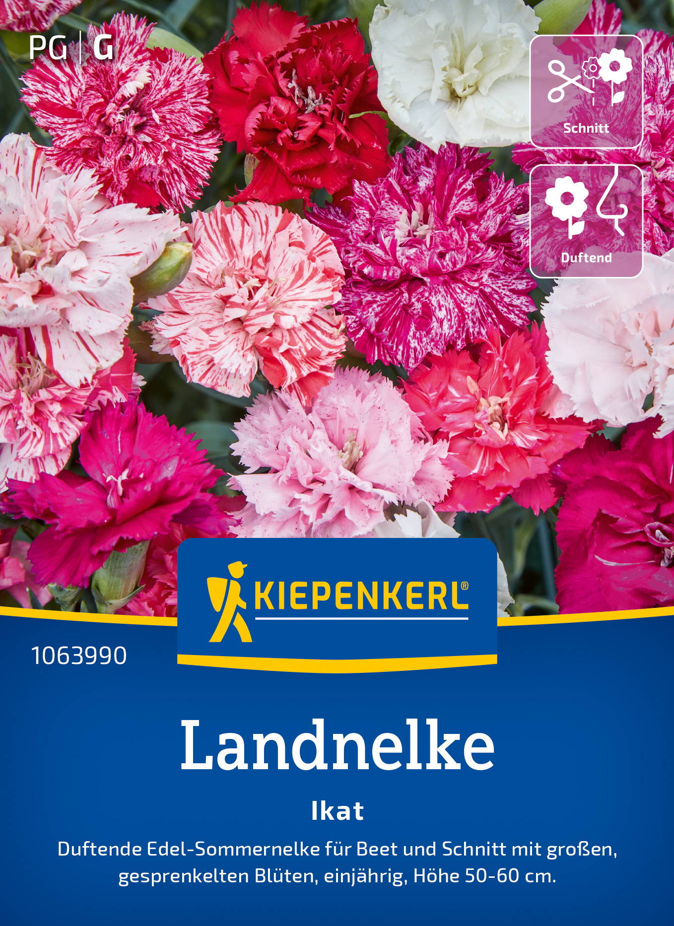 Bunte Landnelke in verschiedenen Farben, mit gesprenkten Blüten, Höhe 50-60 cm, für Beet und Schnitt.