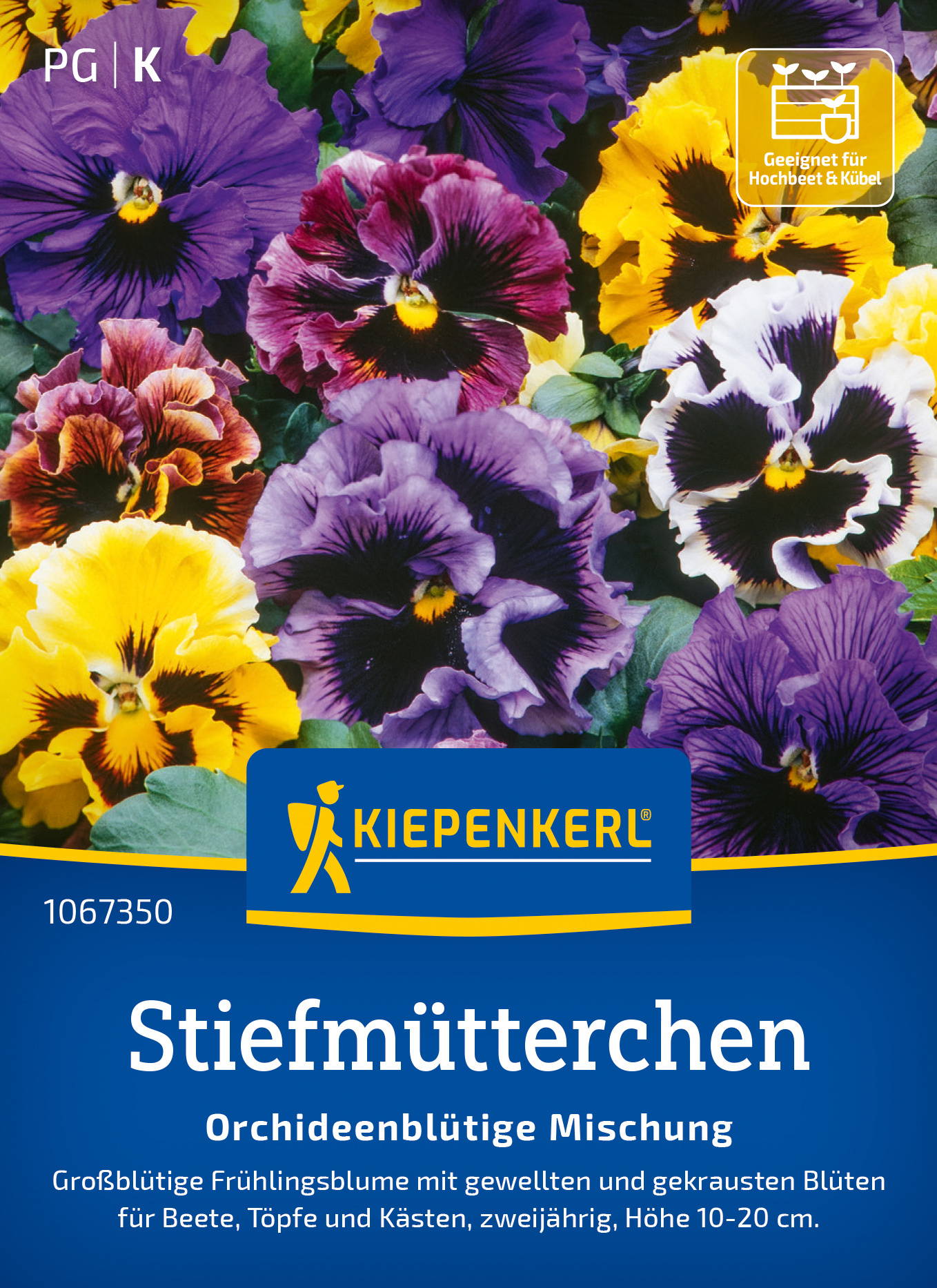 Bunte Blüten von Stiefmütterchen in verschiedenen Farben, mit grünen Blättern im Hintergrund.