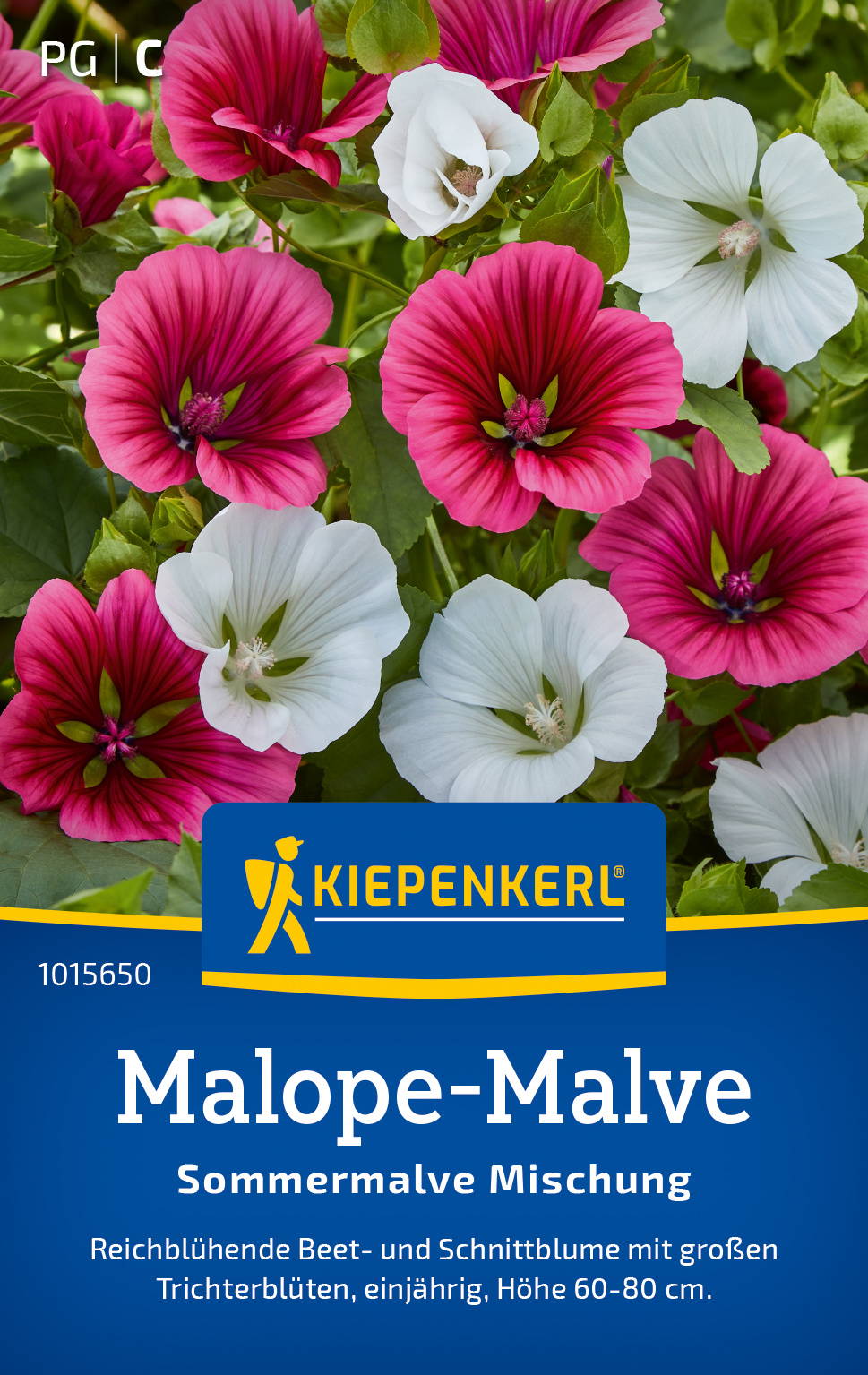 Bunte Mandevilla-Blumen in pink und weiß vor grünem Laub, auf Verpackung der Kiepenkerl-Malpe-Malve.