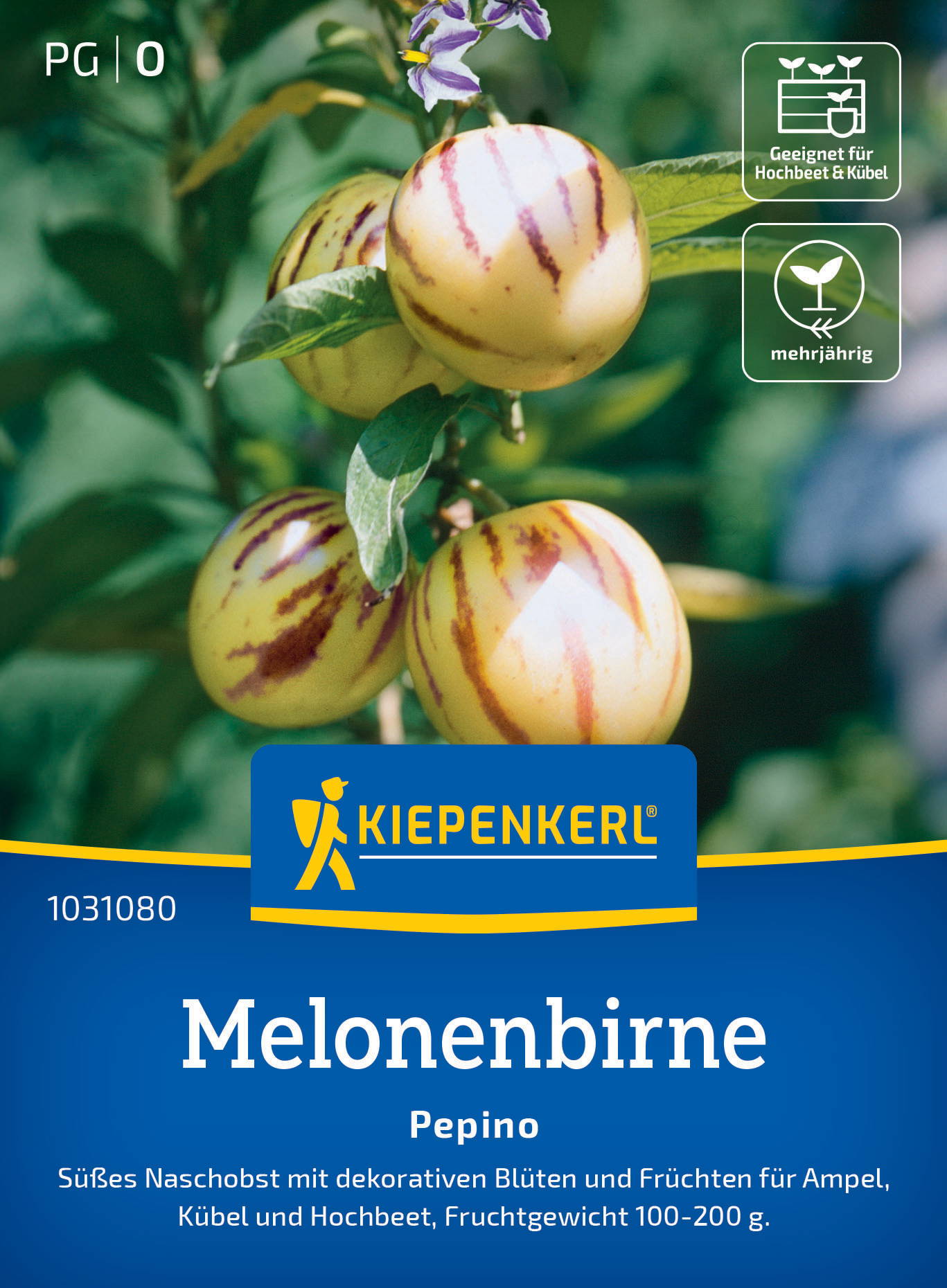 Pepinosamen Melonenbirne