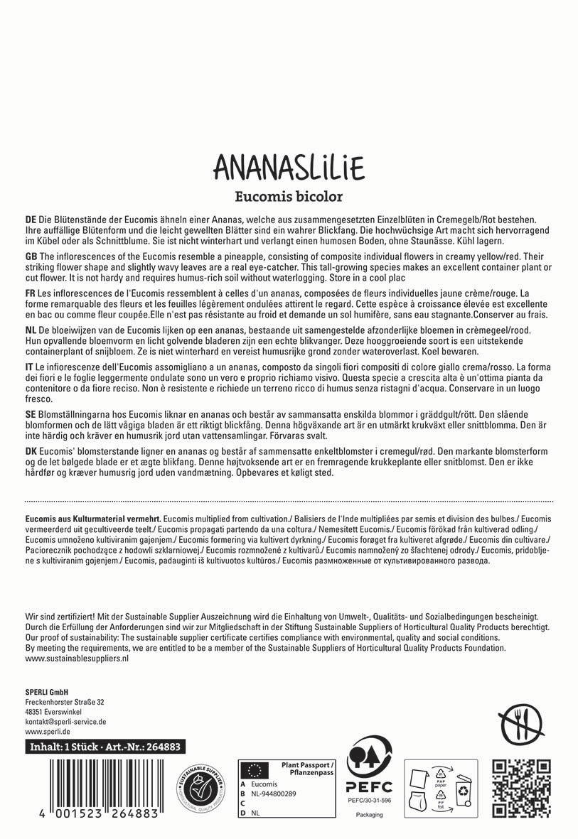Text with descriptions of Eucomis bicolor representing an ananas, in multiple languages, with additional product information.