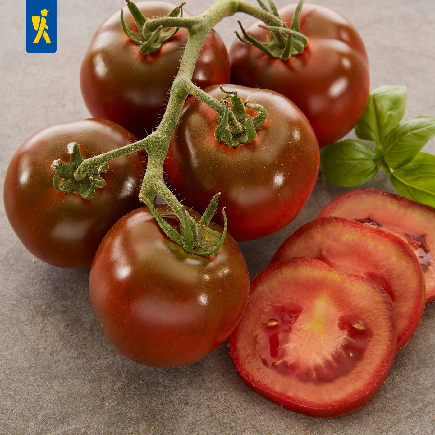 Tomaten, grüne Basilikumblätter und Tomatenscheiben auf grauem Untergrund.