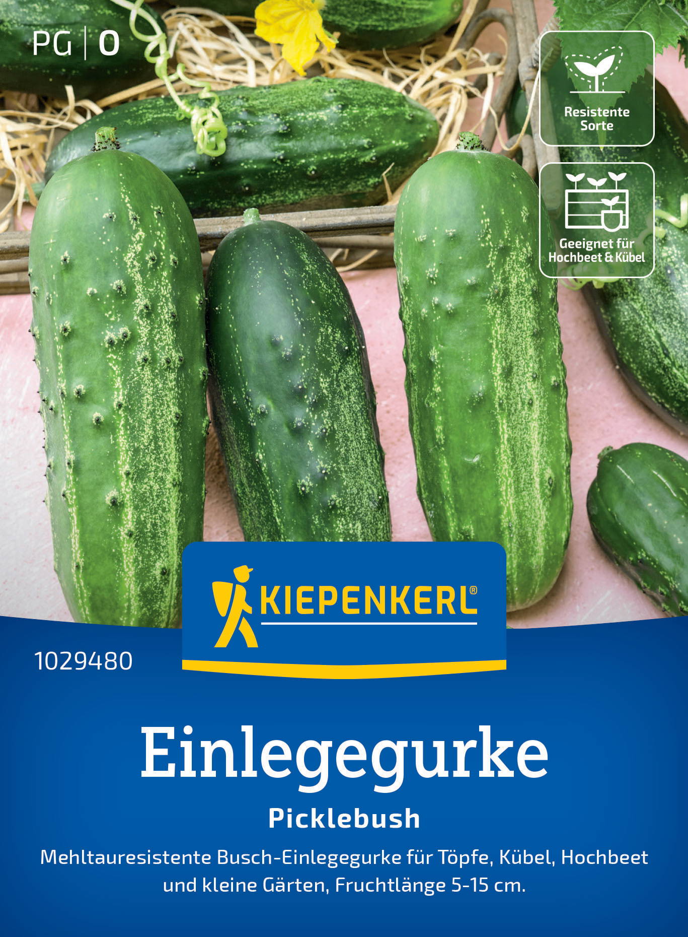 Einlegegurkensamen Picklebush