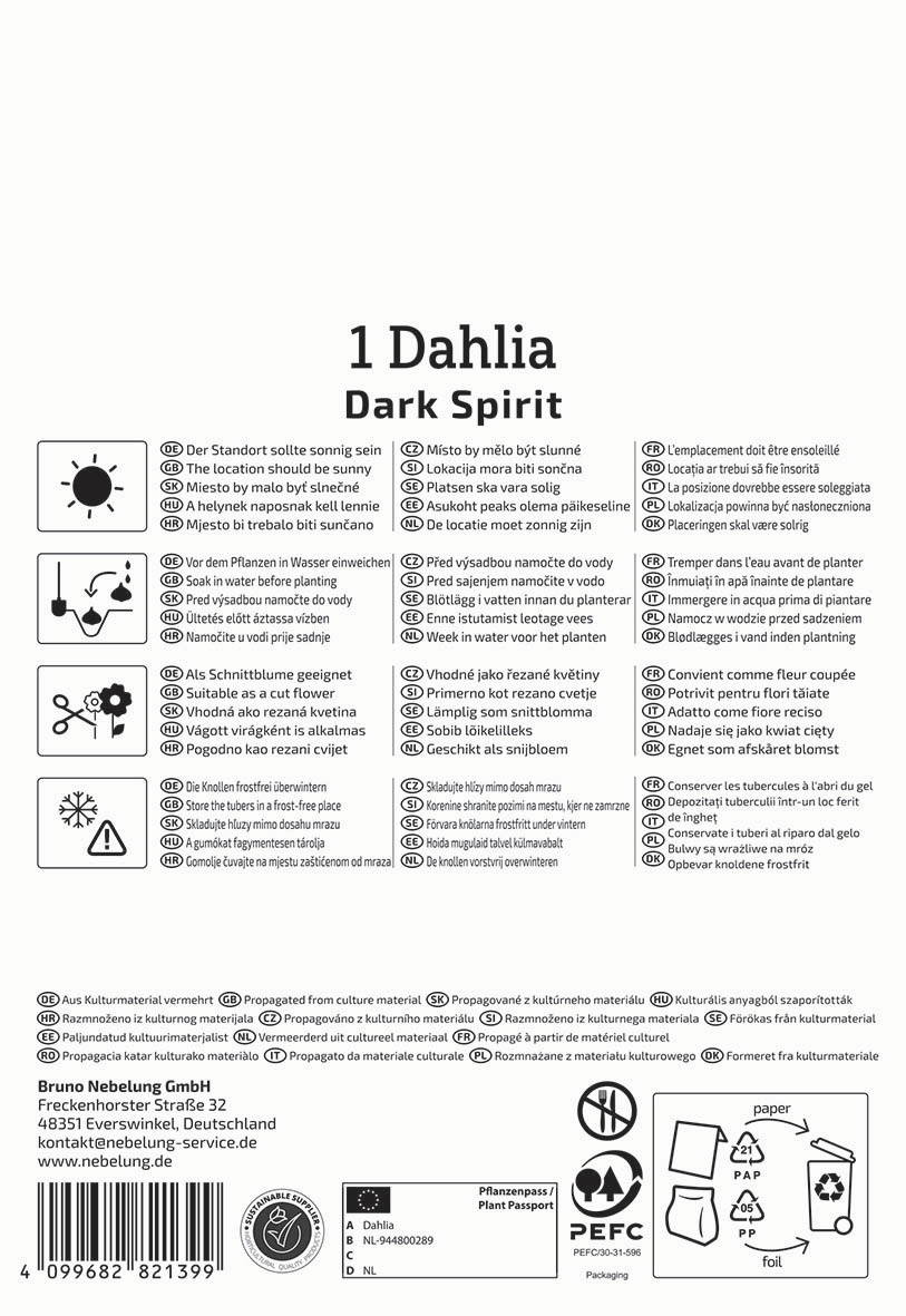 Pflanzenpass mit Anweisungen und Symbolen für Pflege, Standort, Wasser, Schnitt, Schnittblumen, Frostschutz und Recycling.