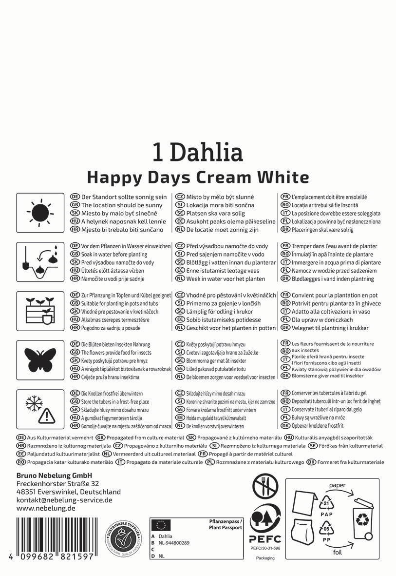 Anleitungssymbols für Pflanzung, Pflege, Insekten, Frostschutz, Kulturmaterial und Verpackung auf einem weißen Hintergrund.