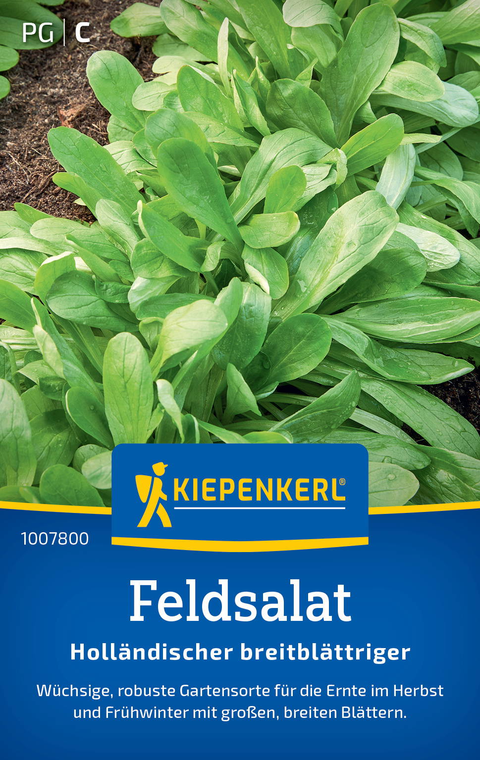 Feldsalatsamen Holländischer breitblättriger