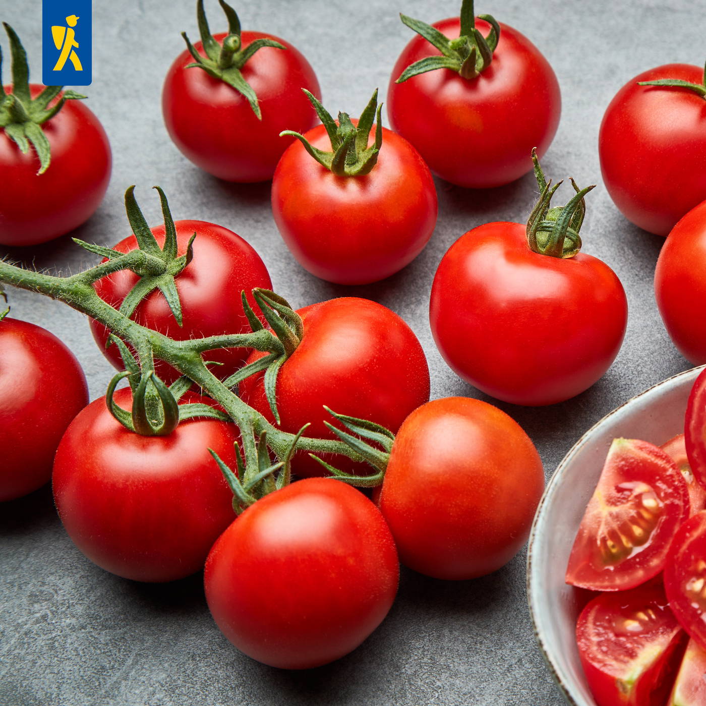 Rote Tomaten auf einer grauen Oberfläche, einige an einer grünen, behaarten Tomatenpflanze.