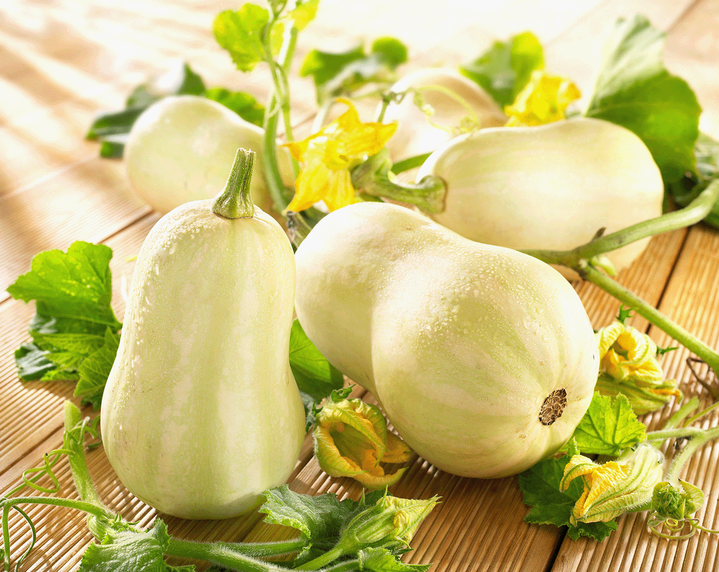 Weiße Zucchini mit grünen Blättern und gelben Blumen auf Holztisch verteilen.
