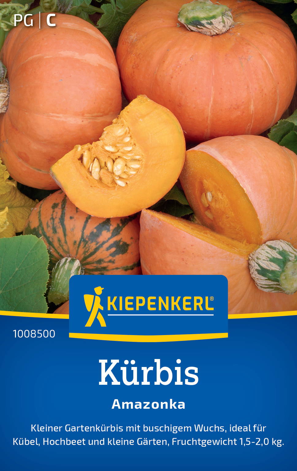 Kürbis, Hokaido, orange, rund, mit grünem Stiel, im Garten auf Blättern gelegen.