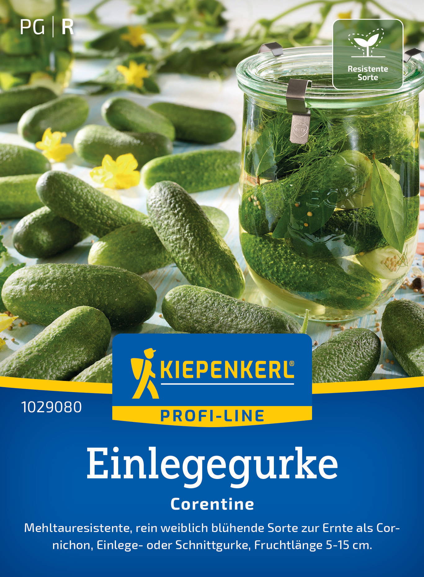 Einlegegurkensamen Corentine, F1