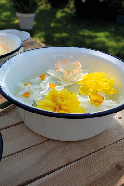Schale mit Wasser und bunten Blumen auf einem Holztisch im Garten.