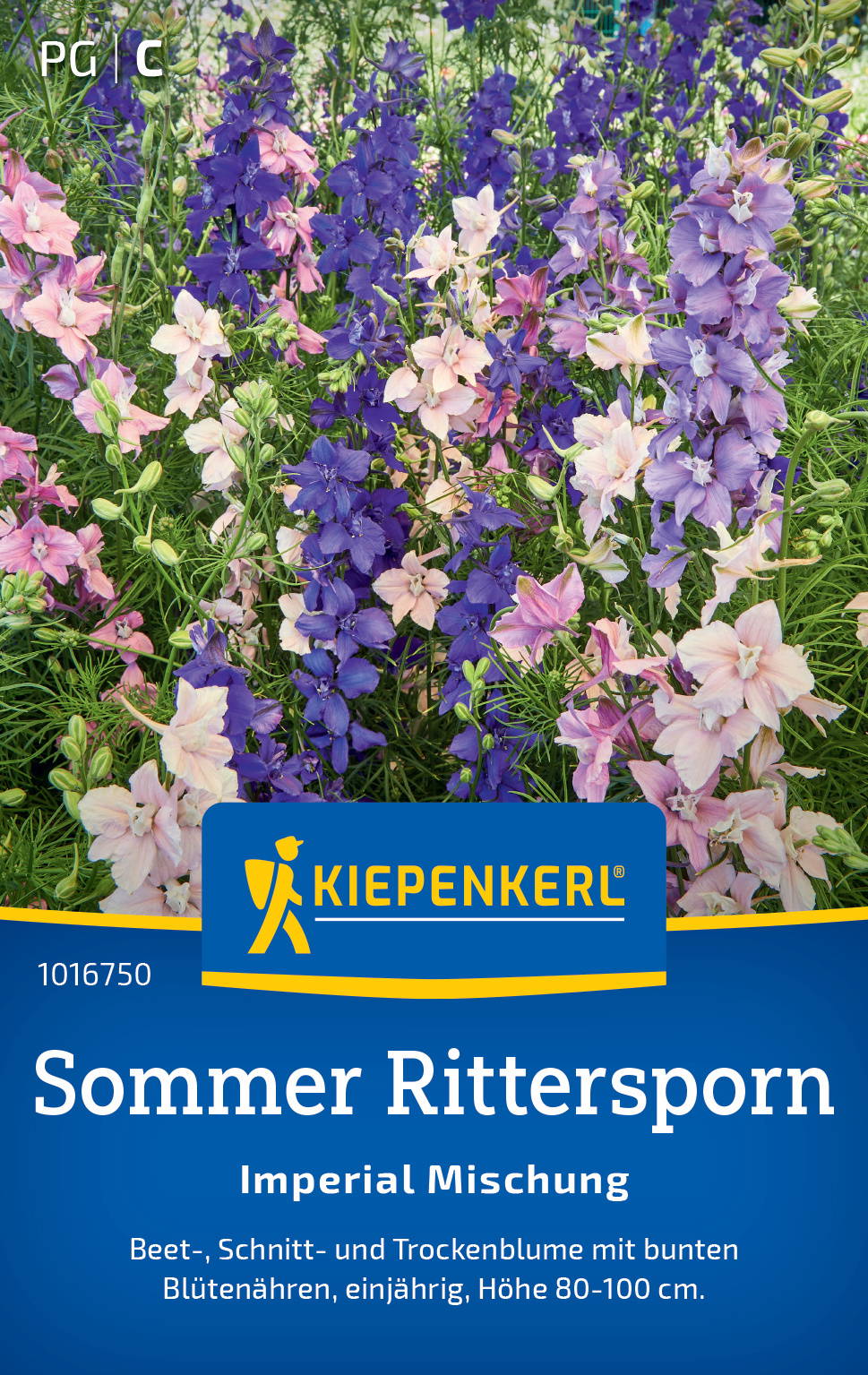 Sommer-Ritterspornsamen Sommer Mischung