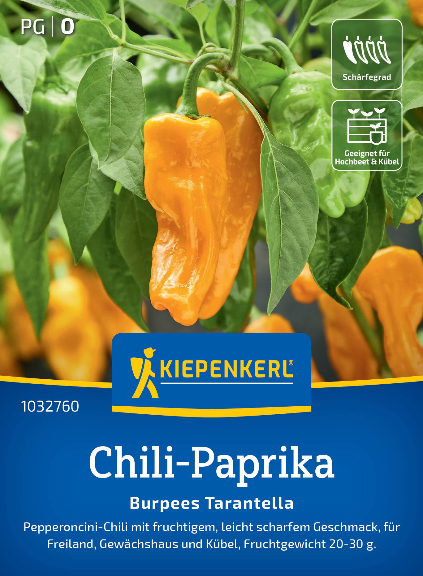 Gelbe Chili-Paprika an grünen Pflanzen mit Blättern.