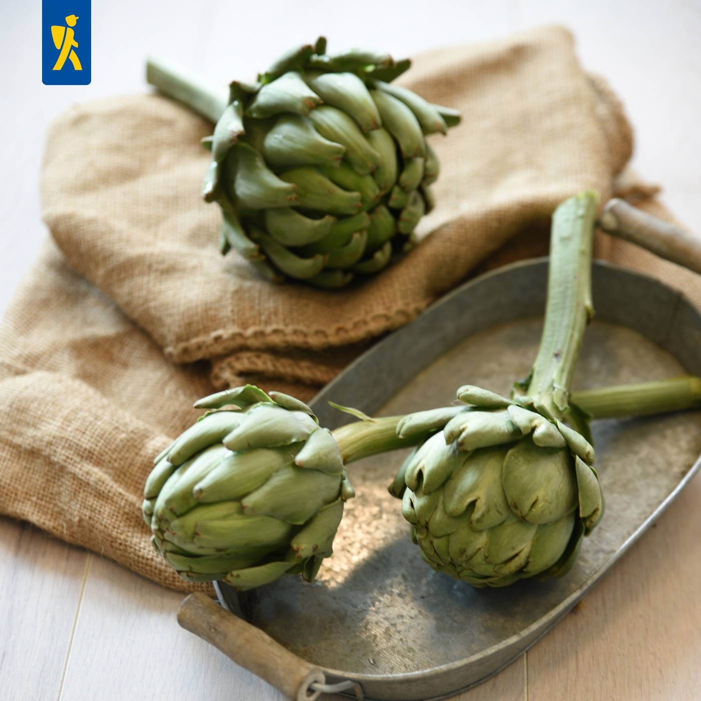 Drei frische Artischocken auf einem Blech und einem Tuch, helles Holz- und Stoffhintergrund.