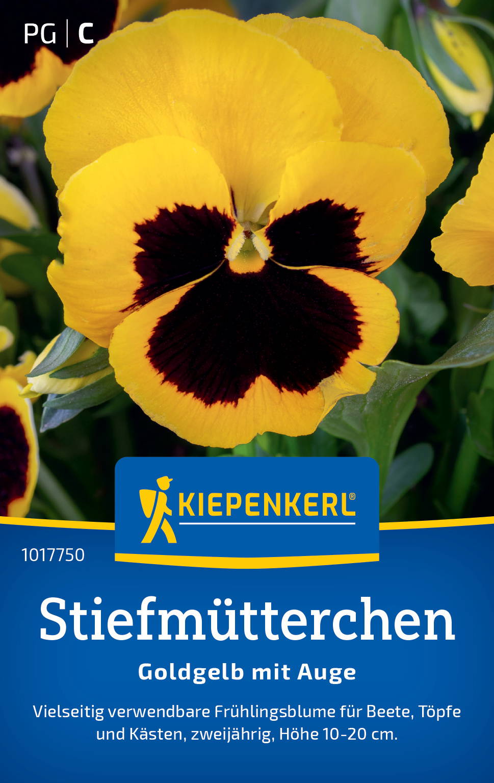Gelbe Stiefmütterchen mit schwarzer Musterung, auf der Samenpackung abgebildet.
