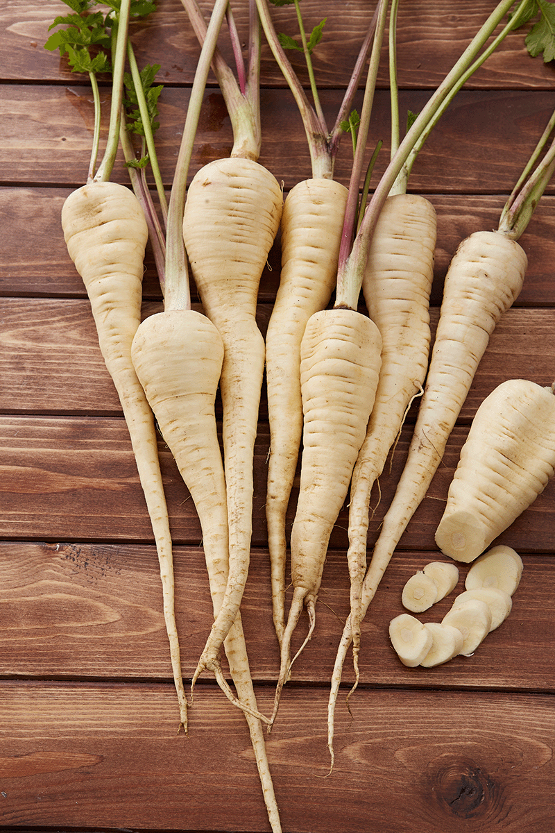 Weiße Wurzeln mit grünen Stängeln auf Holz platte.