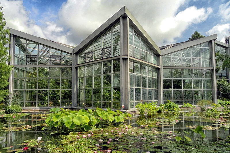 Glashaus mit Wasserpflanzen im Teich vor einem modernen Gebäude.