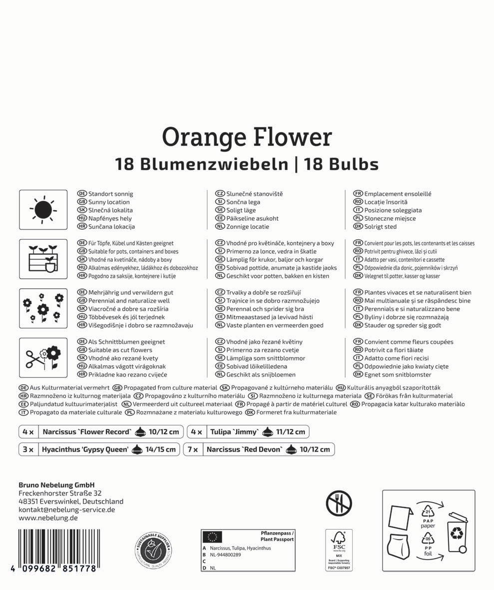 Potte mit 18 orangefarbenen Blumen und 18 Bulbembliesten, Anzuchtanleitung in mehreren Sprachen.