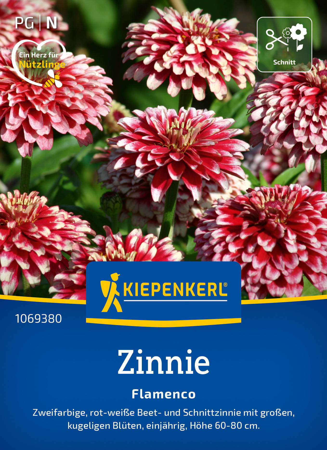 Zinniensamen Flamenco