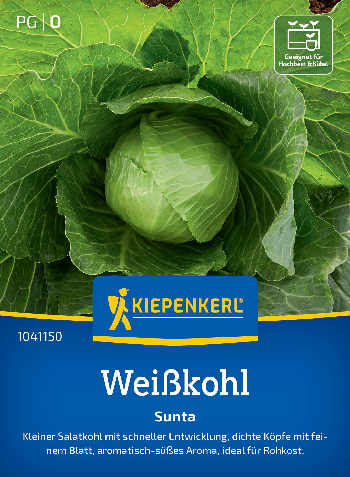Weißkohlsamen Sunta, F1