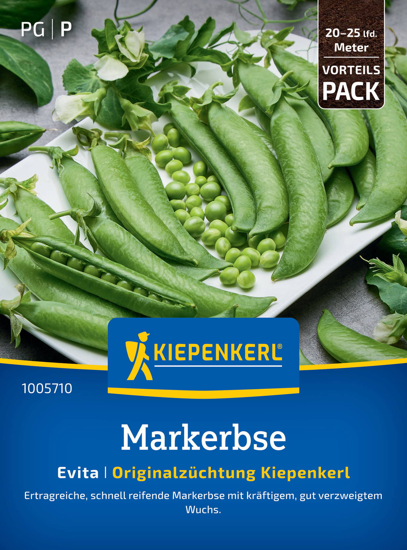 Große grüne Markerbsen mit einigen abgezogenen Schoten und frischem Wuchs auf einem weißen Teller.