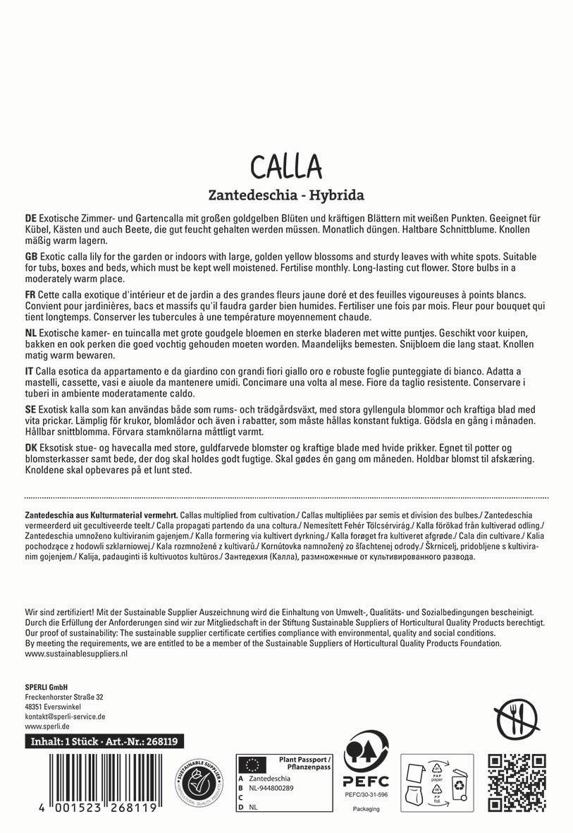 Text auf Etikett mit Produktbeschreibung in mehreren Sprachen, Titel "CALLA Zantedeschia - Hybrida", enthält Pflegehinweise.