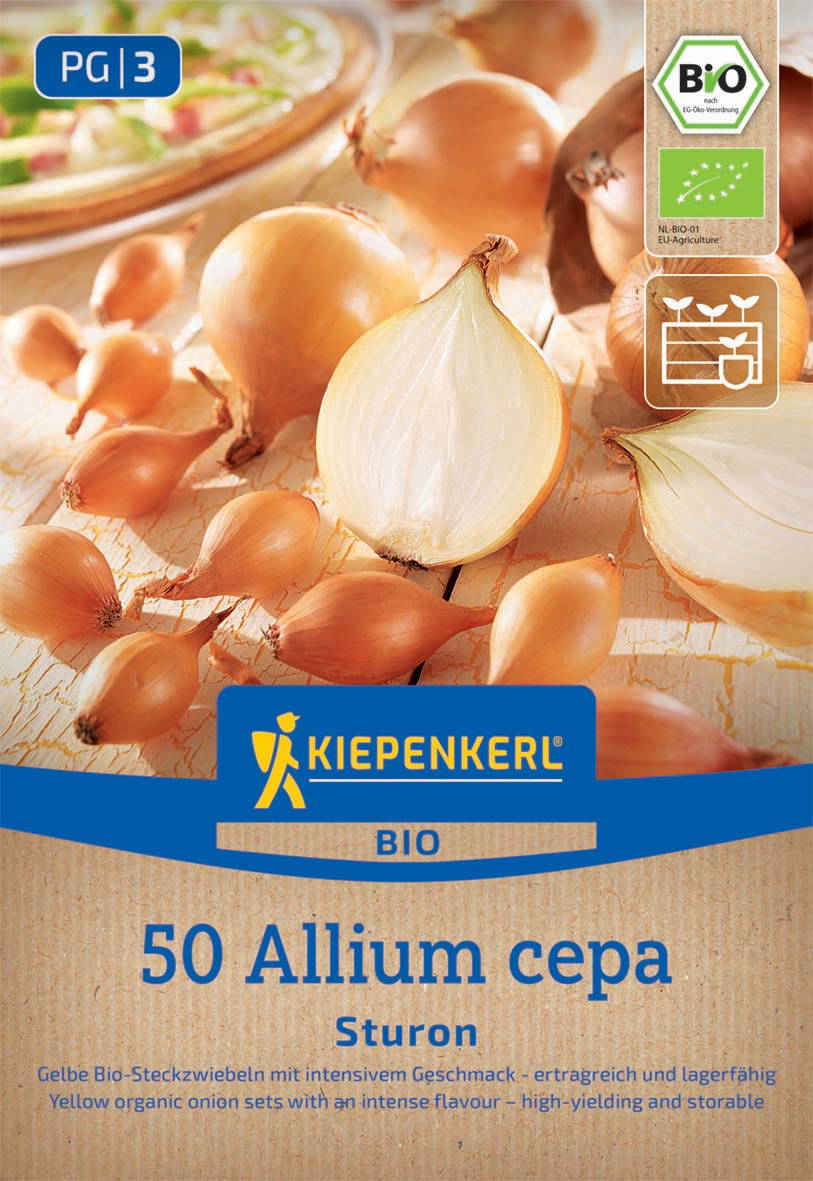 Zwiebel-sets und geöffnete Zwiebel auf einem weißen Holzbrett.