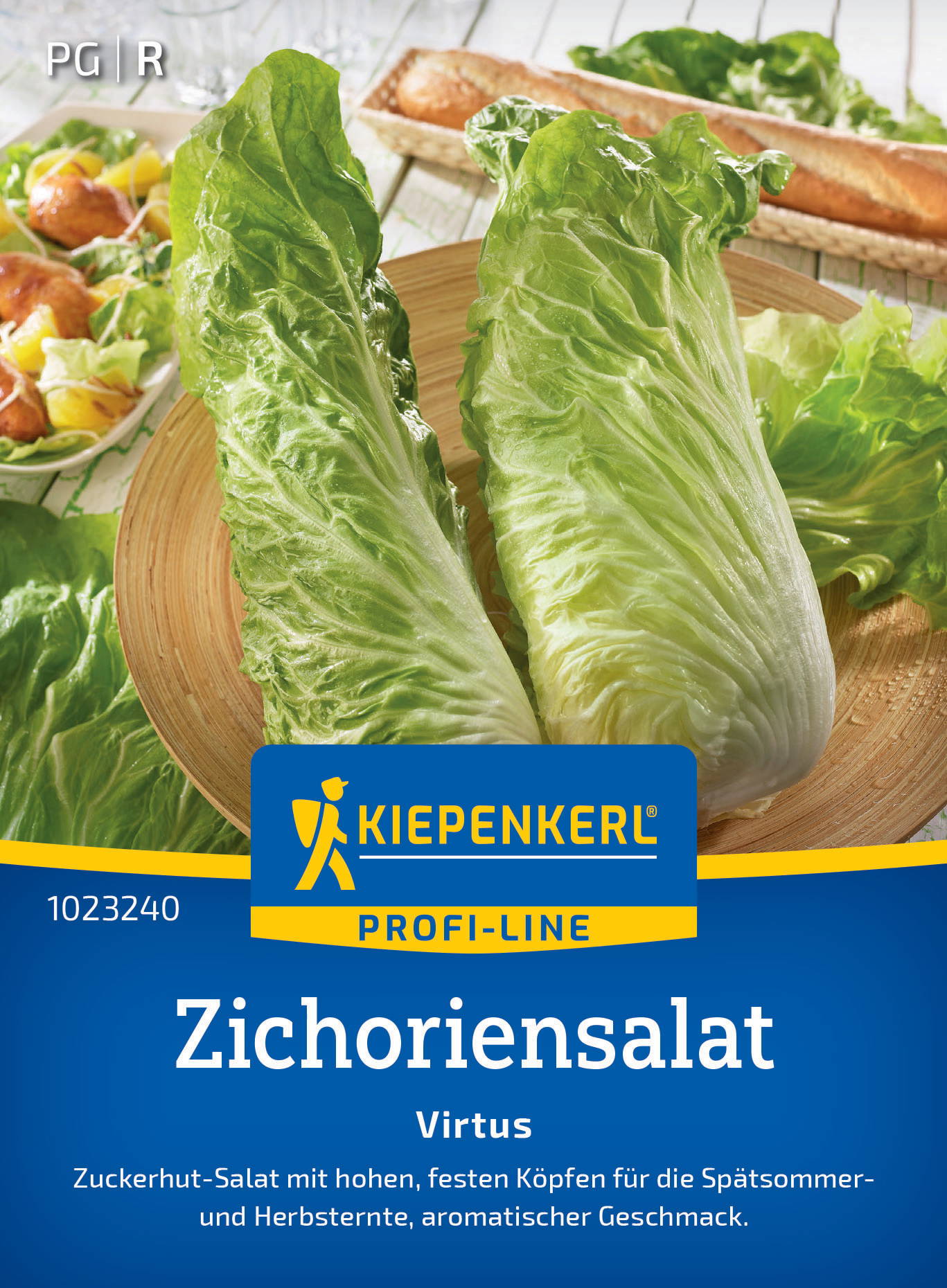 Zichoriensalatsamen Virtus, F1