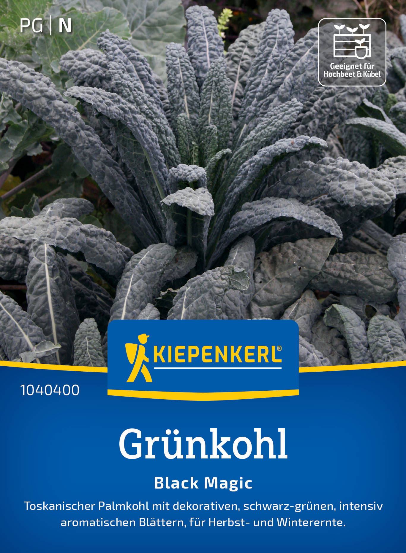 Grünkohlsamen Black Magic