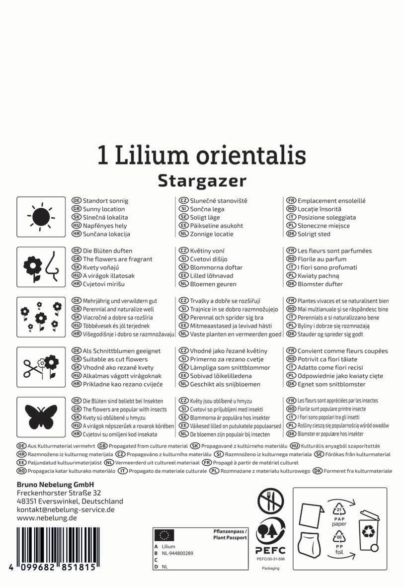 Pflanzenbeschreibung Etikett mit Name, Standort, Duft, Blüte, Pflegehinweise, Herkunft, Kultur, Logo, Barcodes, Kontakt.