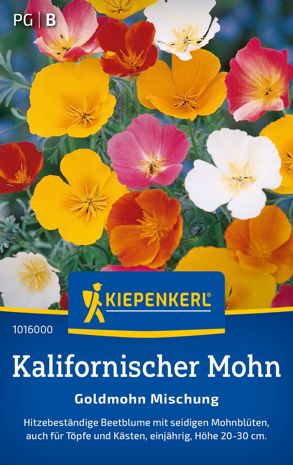 Bunte Kalifornische Mohnblumen in einer Bienenweide.