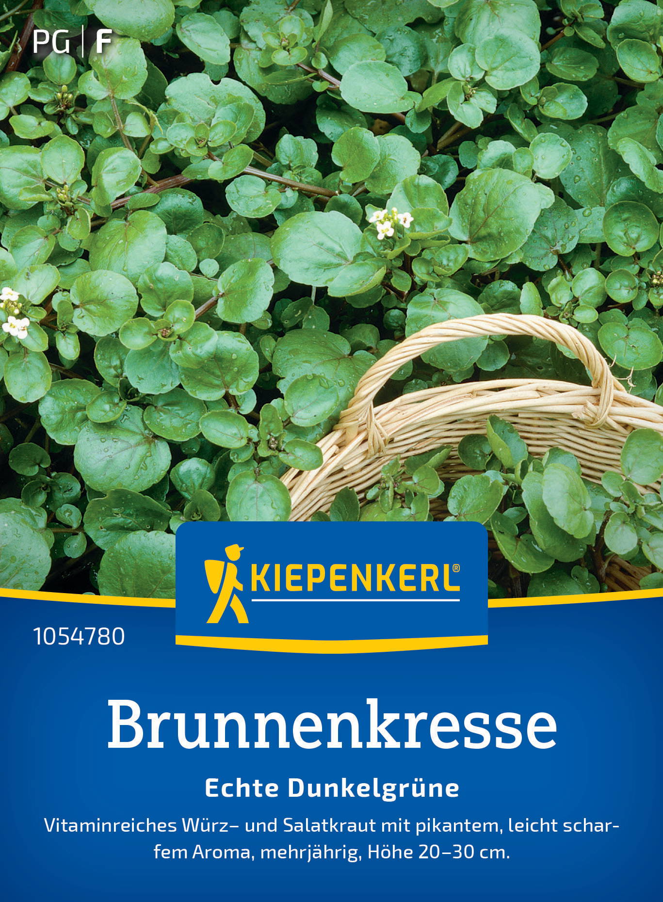 Gedeckte grüne Brunnkresse mit kleinen weißen Blüten in einem Korb.