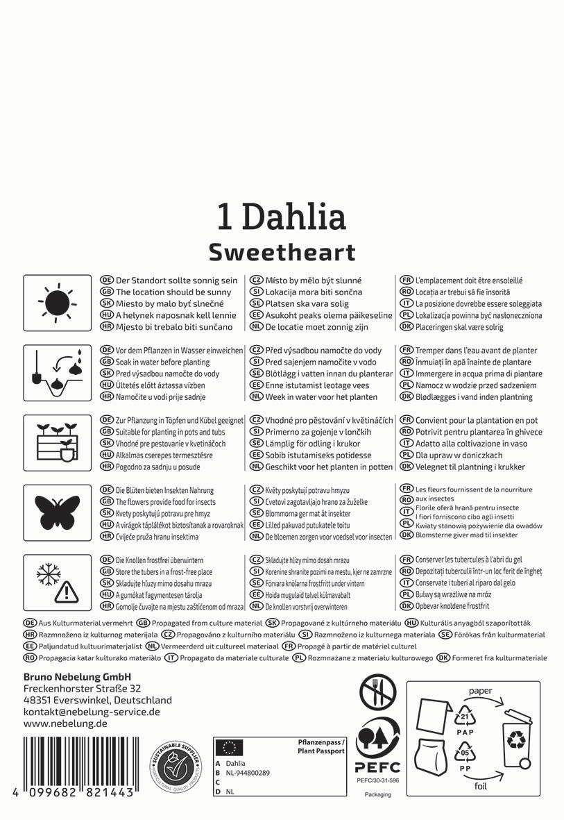 Anleitungssymbole für Wasser, Pflanzung, Insekten, Frost, Propagation und recycling, Text in mehreren Sprachen.