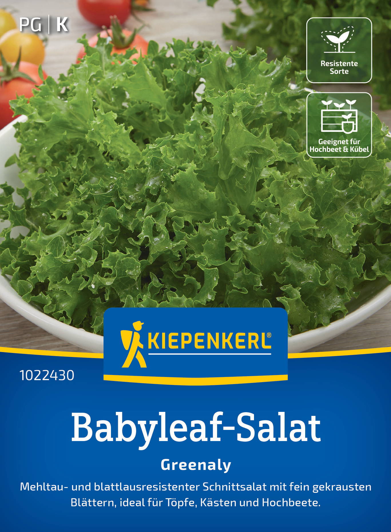 Frischer Babyleaf-Salat in einer weißen Schüssel mit grünen, lockeren Blättern, im Hintergrund Tomaten und Kräuter.