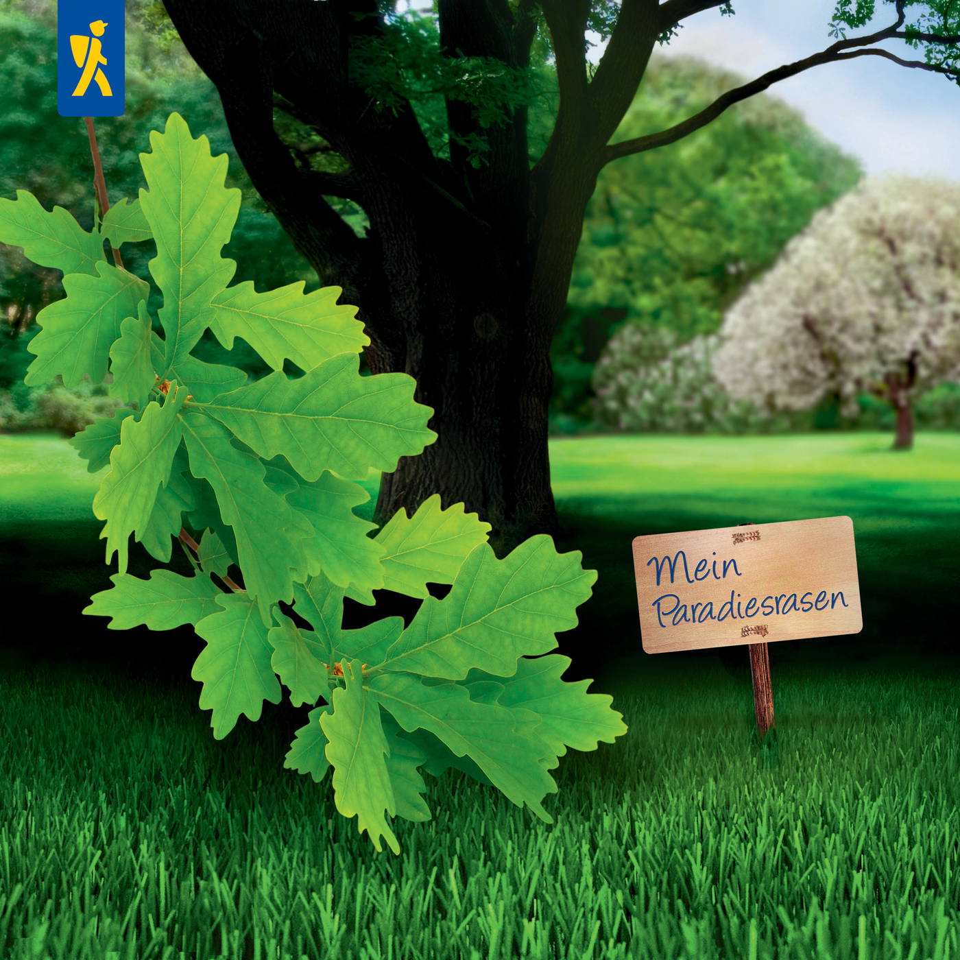 Große grüne Blätter eines Feigenbaums vor dunklem Baumstamm im Park, kleines Holzschild mit "Mein Paradiesrasen".