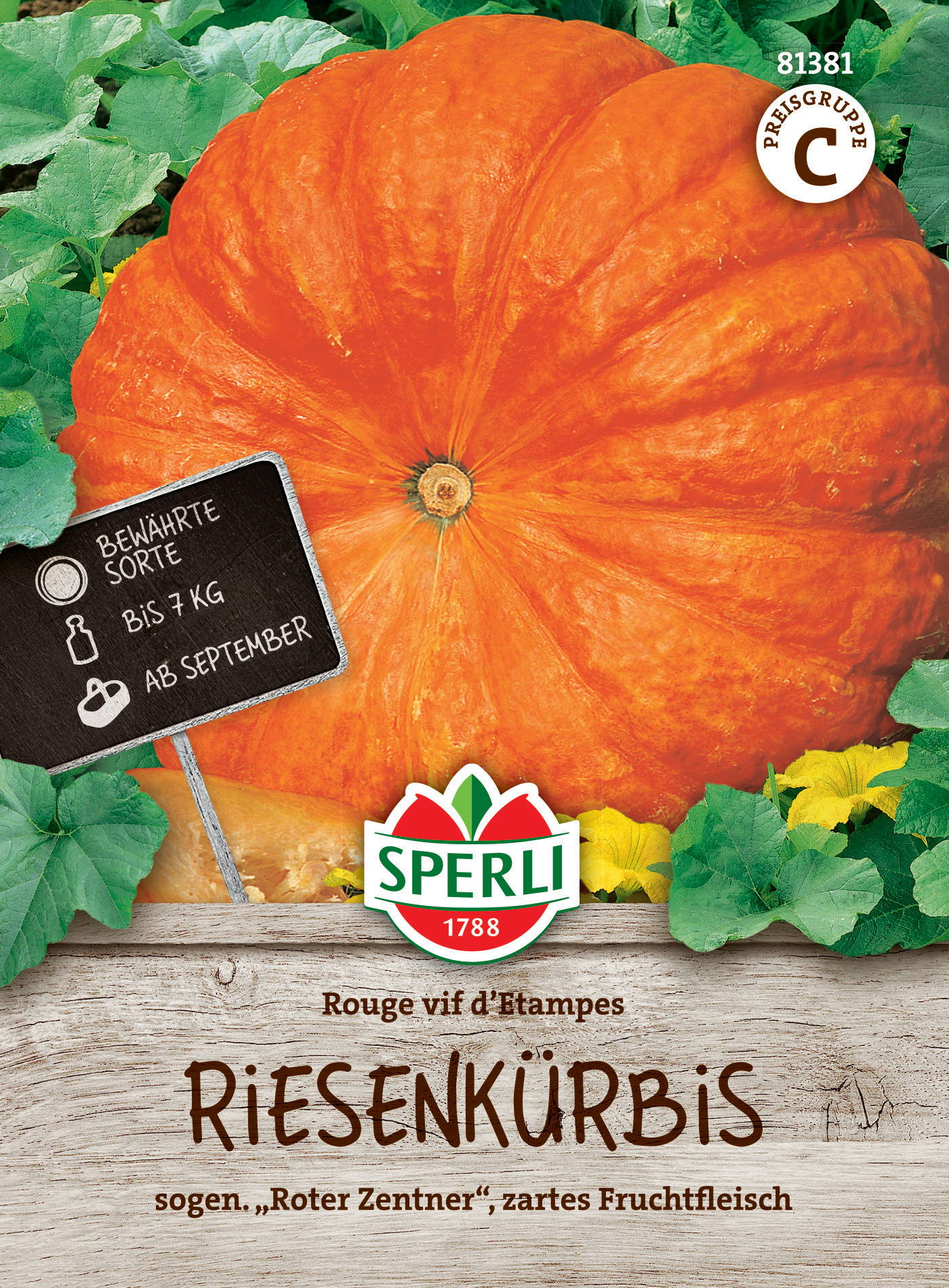 Kürbissamen Rouge vif d'Etampes