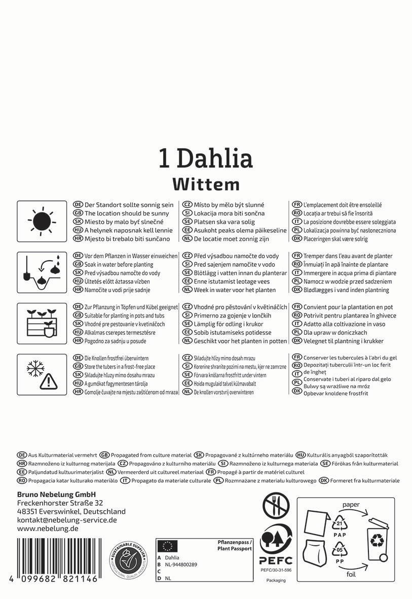 Anleitungstext für Dahlia Wittem, Pflanzhinweise, Wasserbedarf, Standort, Pflanzung in Töpfen, Frostschutz, Verpackungs- und Kontaktinformationen.