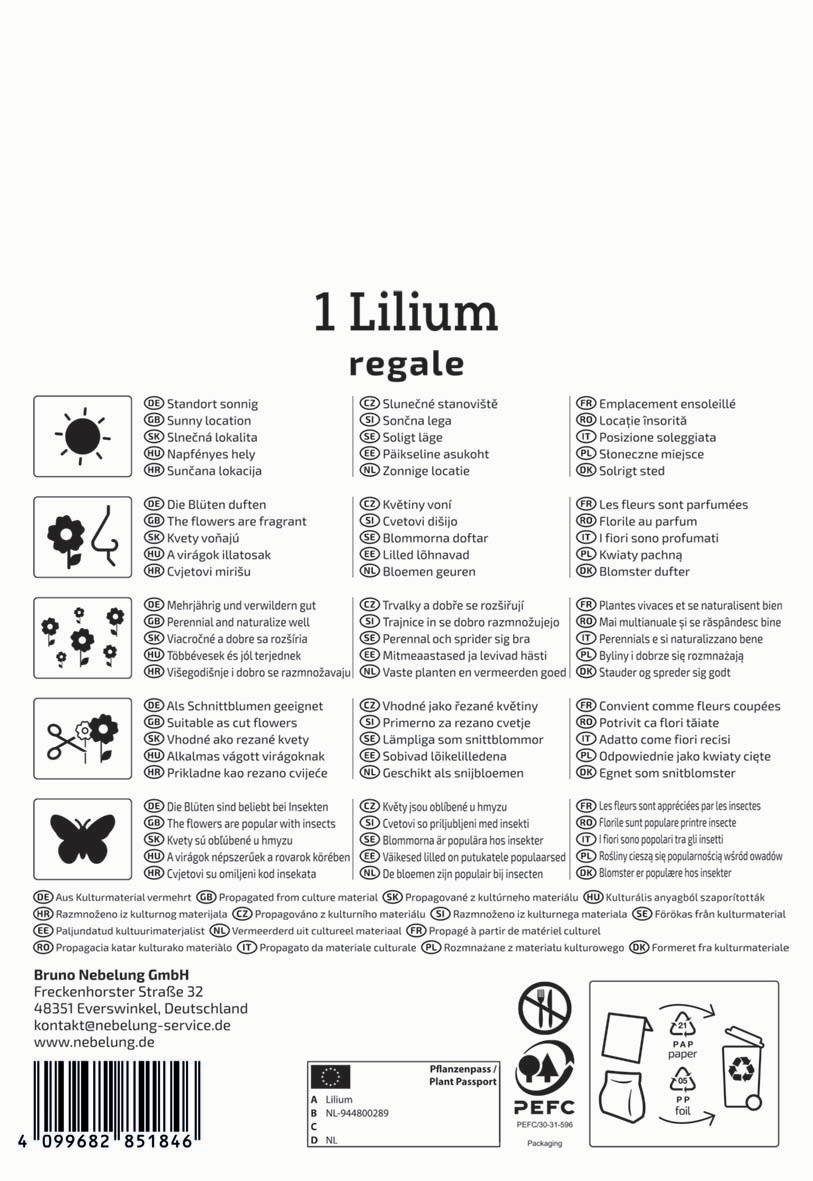 Blumensamen Lilien mit sonnigem Standort und duftenden Blumen, für Garten oder Topf, volle Blüte, langlebig.