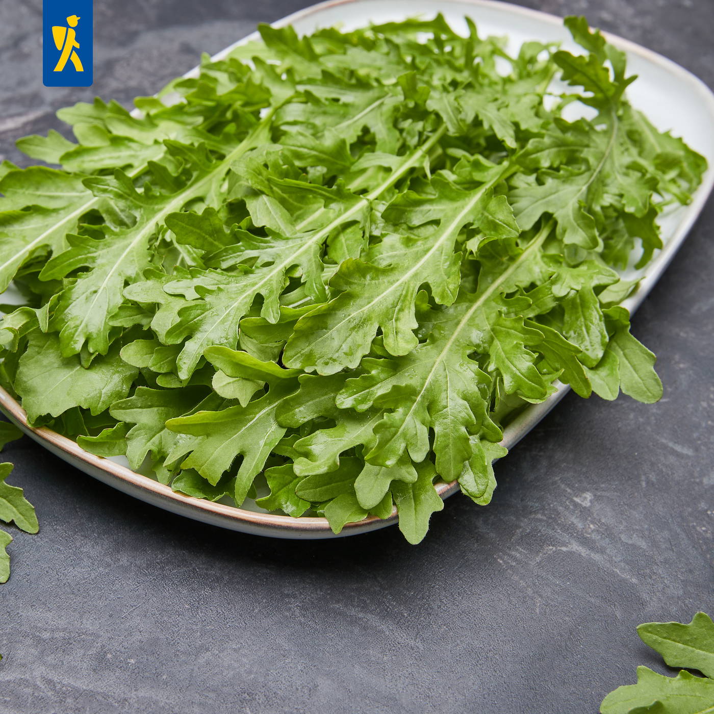 Grüner Rucola auf weißem Teller auf dunklem Steinuntergrund.